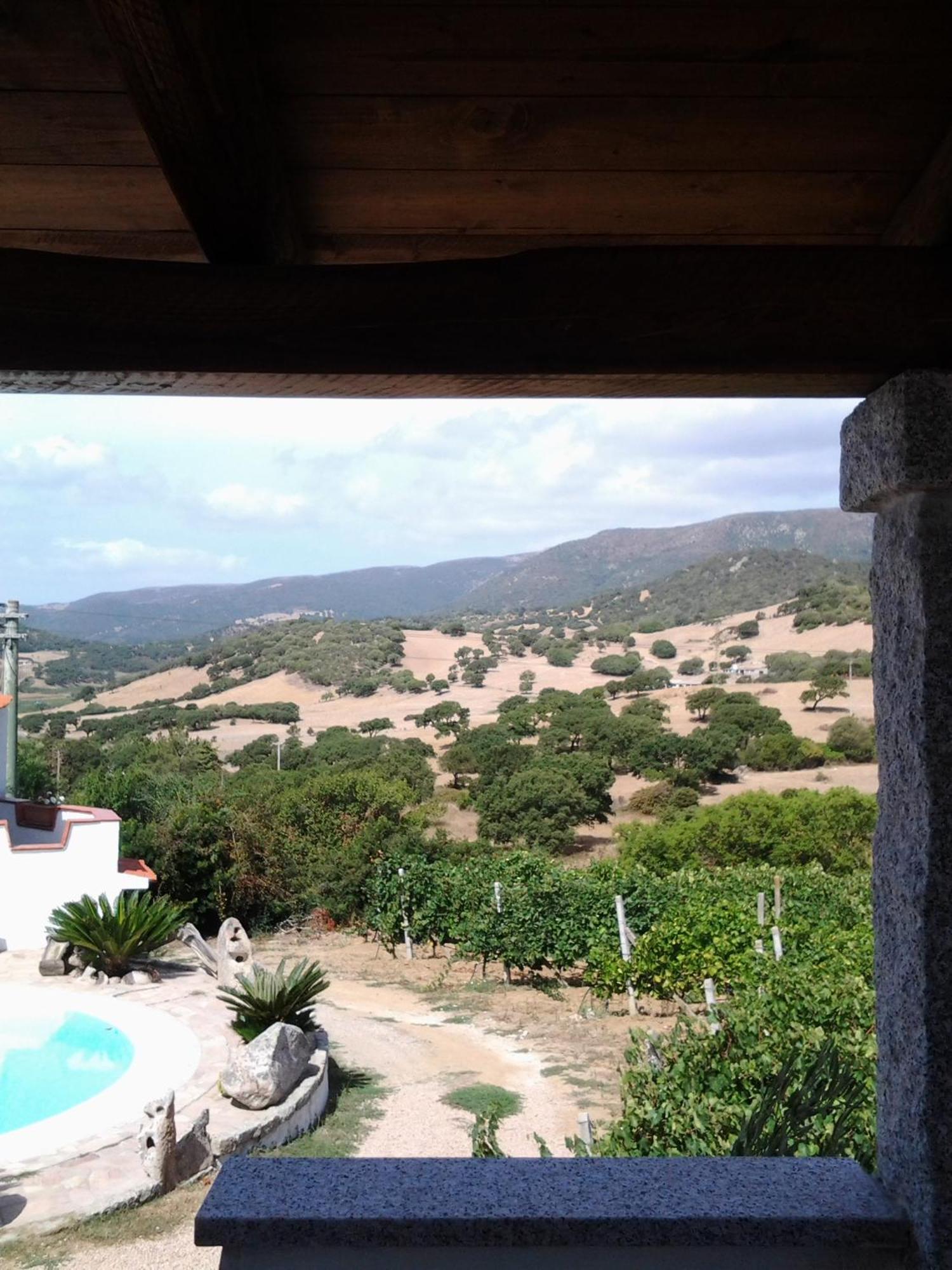 Agriturismo B&B Domo De Resteblas Berchidda Esterno foto