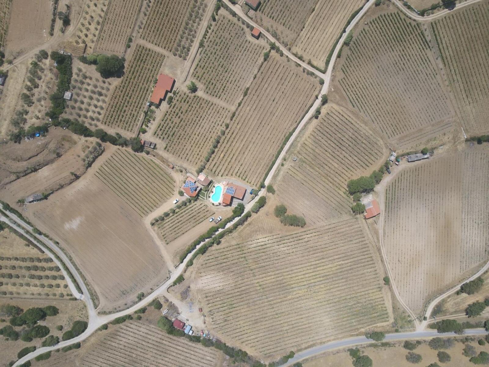 Agriturismo B&B Domo De Resteblas Berchidda Esterno foto