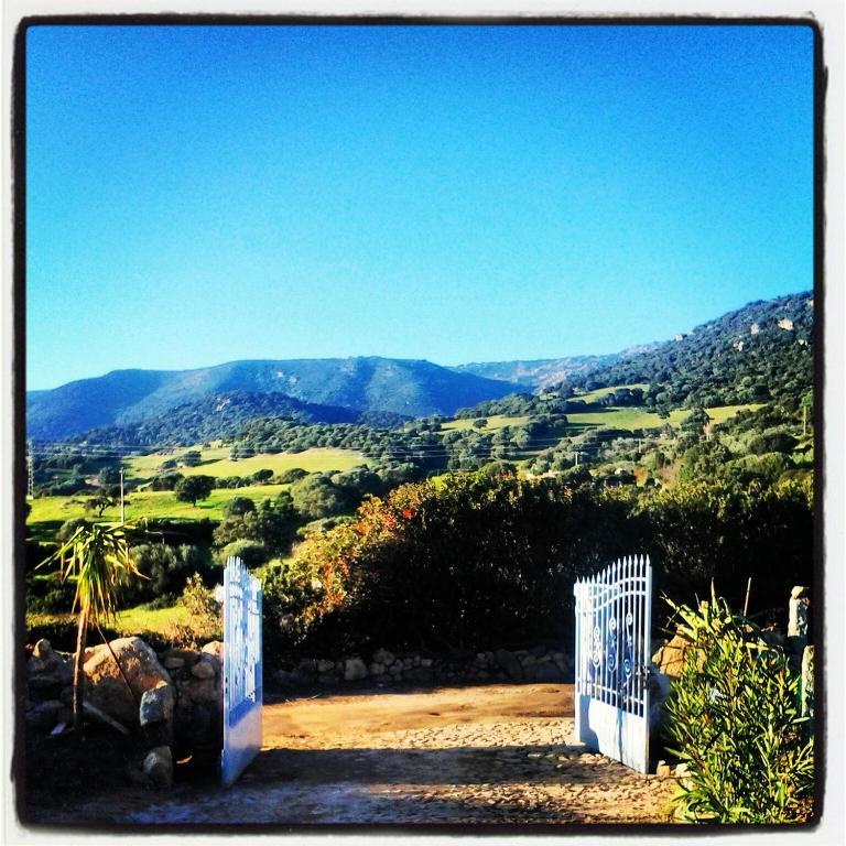 Agriturismo B&B Domo De Resteblas Berchidda Esterno foto