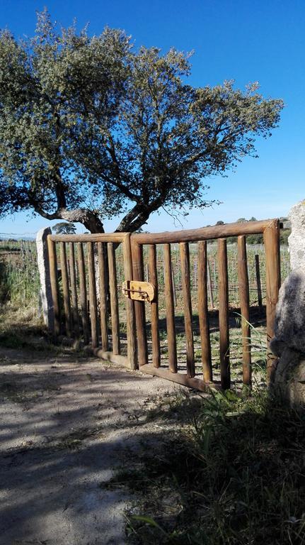 Agriturismo B&B Domo De Resteblas Berchidda Esterno foto