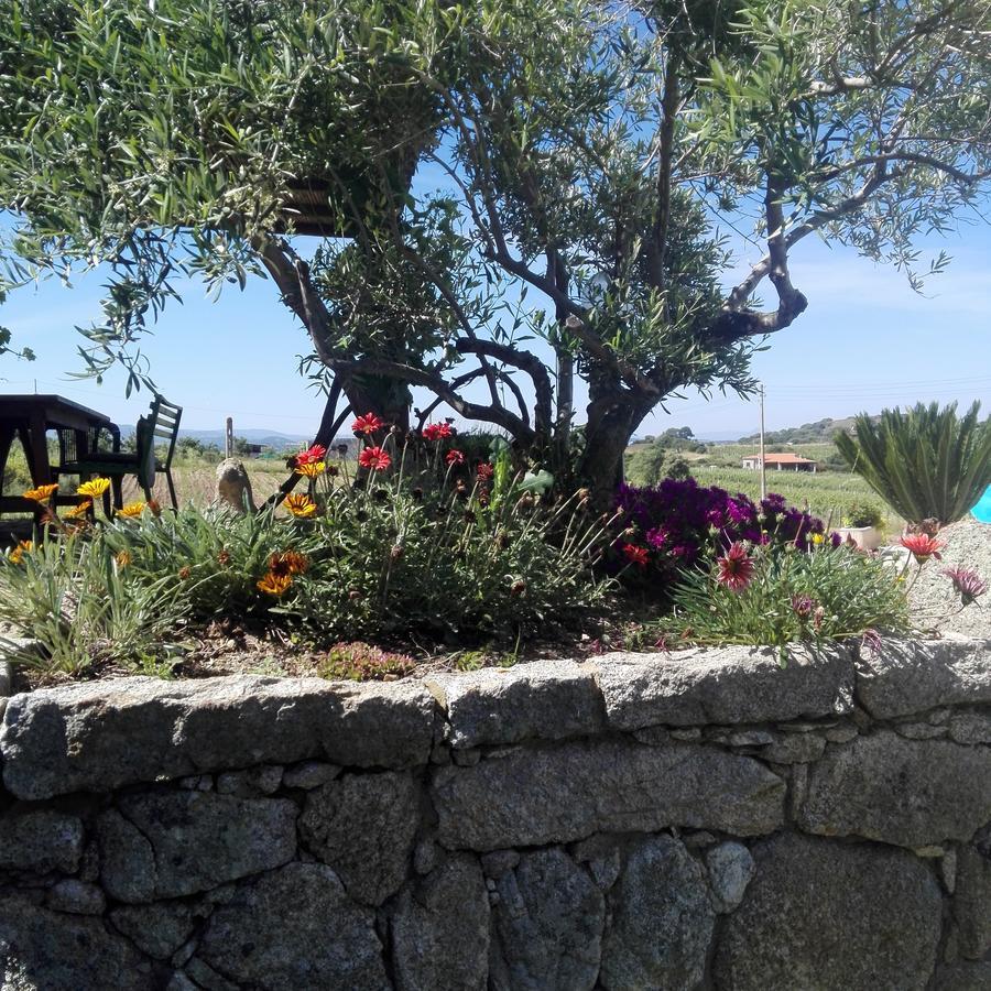 Agriturismo B&B Domo De Resteblas Berchidda Esterno foto
