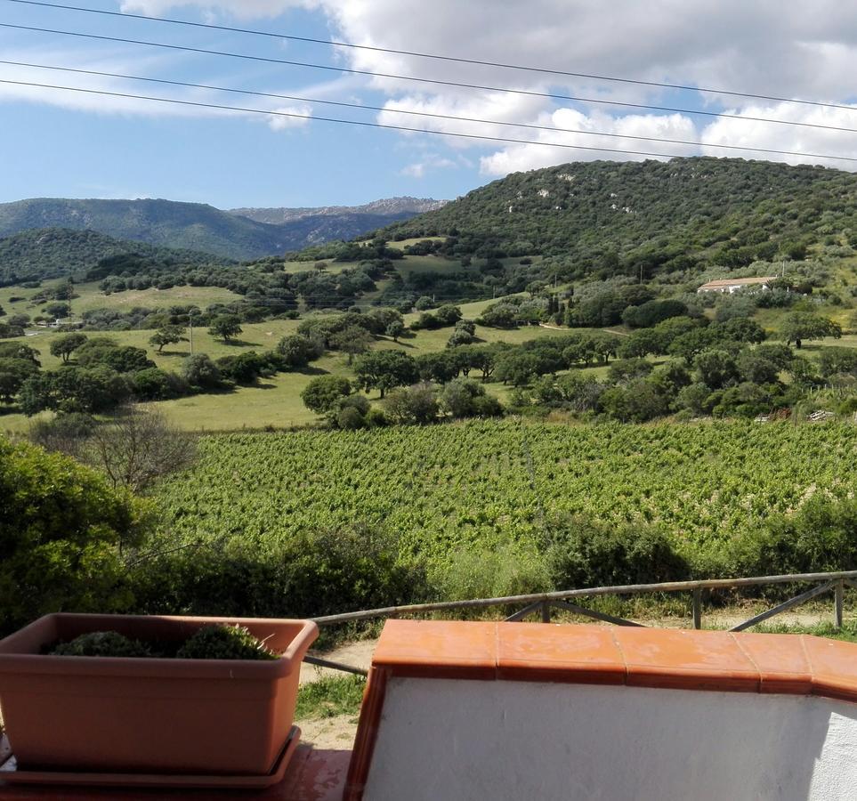 Agriturismo B&B Domo De Resteblas Berchidda Esterno foto