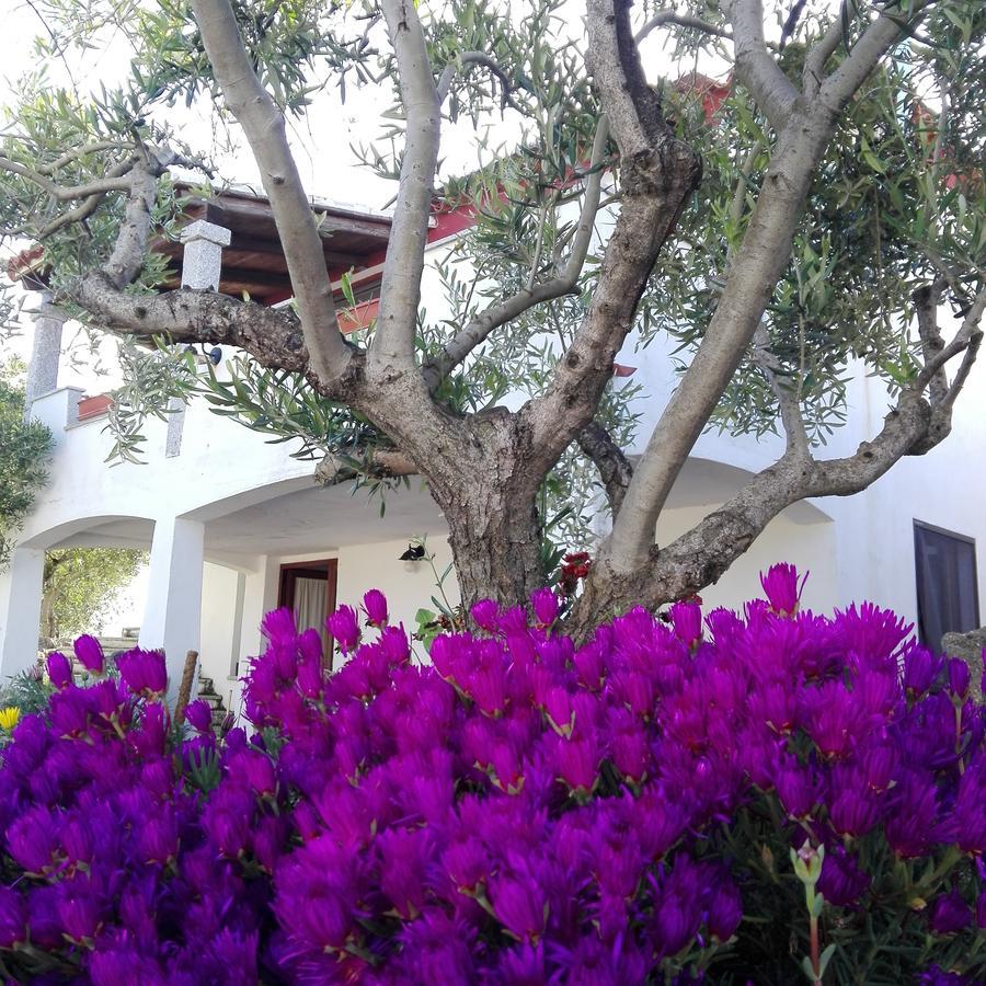 Agriturismo B&B Domo De Resteblas Berchidda Esterno foto